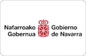 Gobierno de Navarra, Servicio de Proyección Internacional