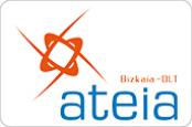 ATEIA EUSKADI-OLT FEDERACION DE TRANSITARIOS (ATEIA Bizkaia-OLT)